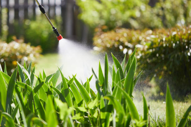 24/7 Emergency Fumigation Services experts in Rothschild, WI